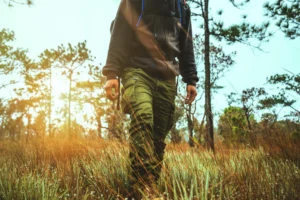 Mental Health Benefits of Nature