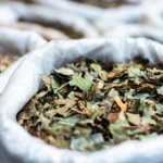 Kratom Addiction