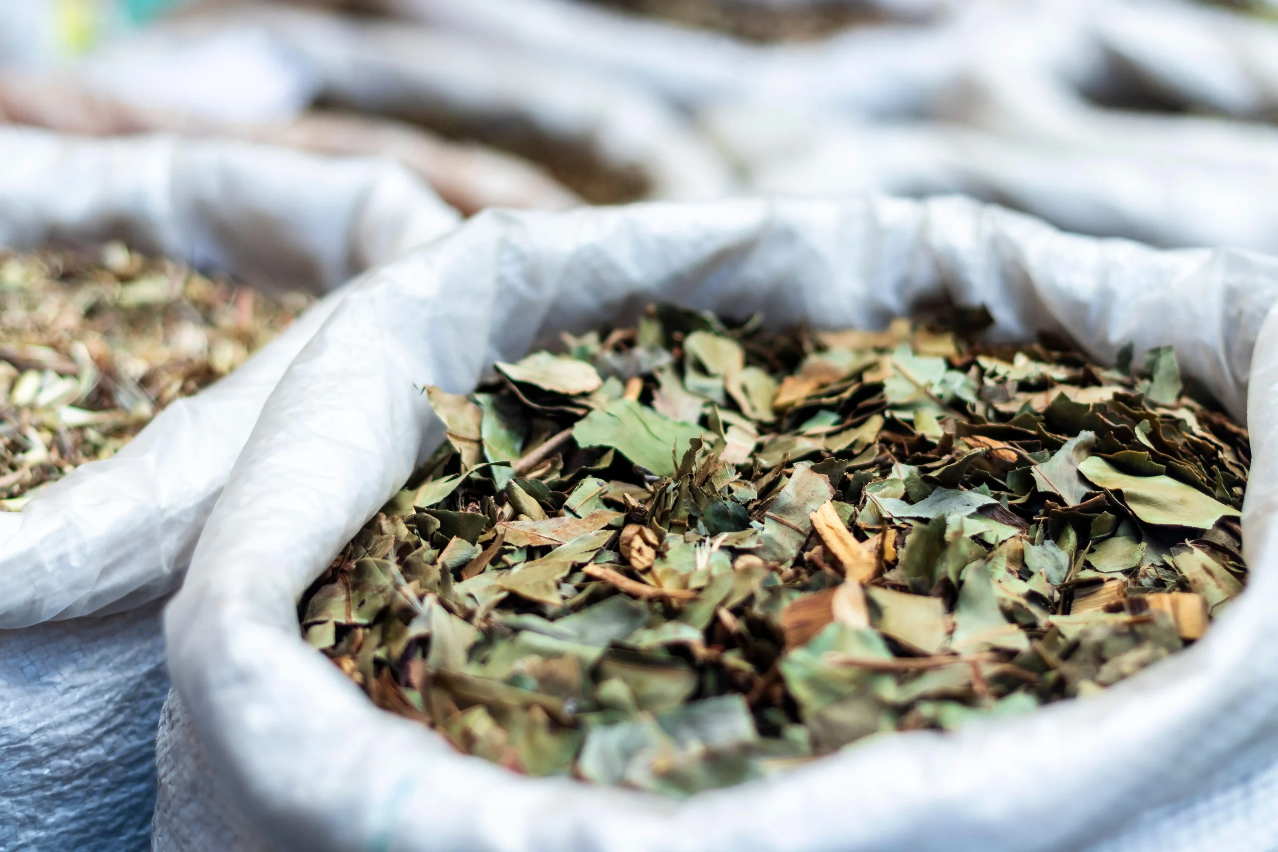 Kratom Addiction